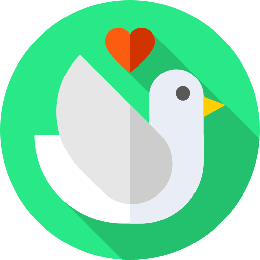 dove46574
