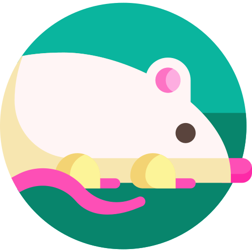 mouse3454