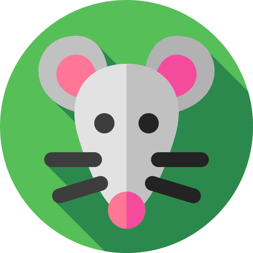 mouse4565