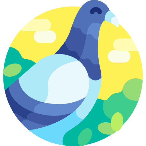 pigeon694857