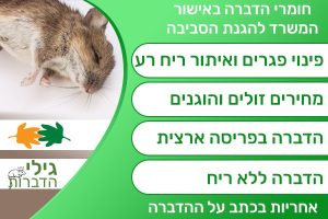 פינוי פגרים
