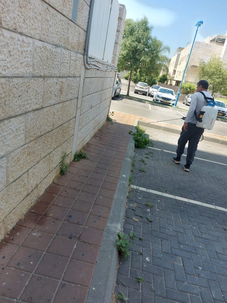 ריסוס בחצר