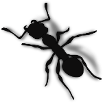 ant-29150