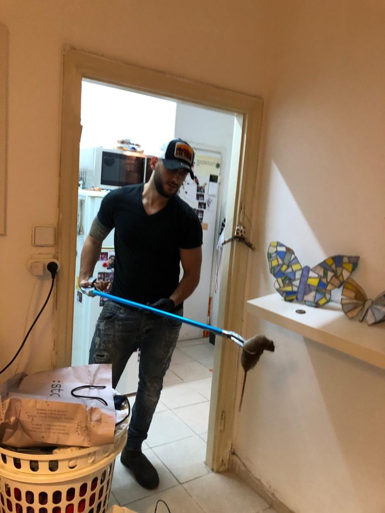 לוכד עכברים