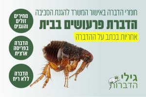 הדברת פרעושים בבית