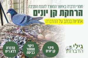 הרחקת קן יונים