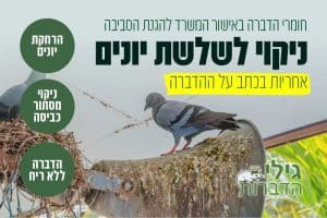 ניקוי שלשלת יונים
