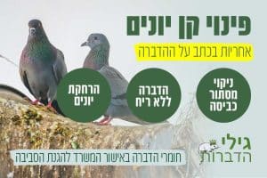 פינוי קן יונים