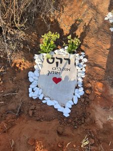 קבורה לכלב בית קברות לחיות